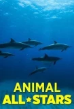 Poster for Animal All-Stars
