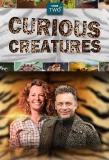 Poster for Curious Creatures