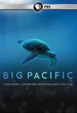 Poster for Big Pacific