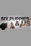 Poster for Six Puppies and Us