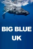 Poster for Big Blue UK