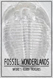 Poster for Fossil Wonderlands: Nature's Hidden Treasures
