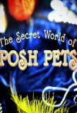 Poster for The Secret World of Posh Pets