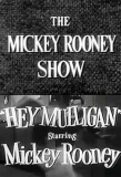 Poster for The Mickey Rooney Show