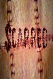 Poster for Scarred