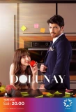 Poster for Dolunay