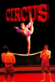 Poster for Circus