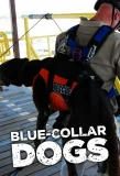Poster for Blue-Collar Dogs