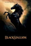 Poster for The Adventures of the Black Stallion
