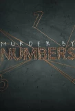 Poster for Murder by Numbers