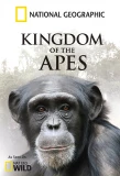 Poster for Kingdom of the Apes