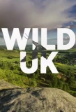 Poster for Wild UK