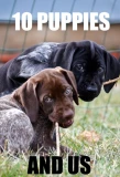 Poster for 10 Puppies and Us