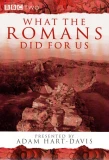 Poster for What the Romans Did for Us