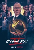 Poster for Cobra Kai