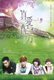 Poster for First Kiss