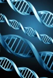 Poster for DNA