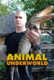 Poster for Animal Underworld