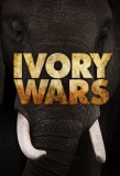 Poster for Ivory Wars