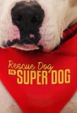 Poster for Rescue Dog to Super Dog