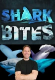 Poster for Shark Bites