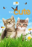 Poster for Too Cute!