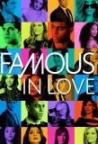 Poster for Famous in Love