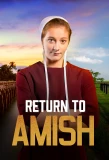 Poster for Return to Amish