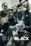 Poster for Code Black