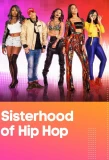 Poster for Sisterhood of Hip Hop