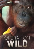 Poster for Operation Wild
