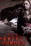 Poster for The Perfect Murder