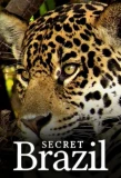 Poster for Secret Brazil
