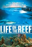 Poster for Life on the Reef