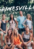 Poster for Gainesville: Friends Are Family