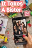 Poster for It Takes a Sister