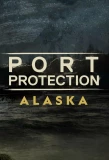 Poster for Port Protection Alaska