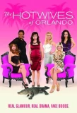 Poster for The Hotwives of Orlando