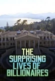 Poster for The Surprising Lives of Billionaires