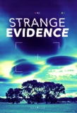 Poster for Strange Evidence