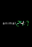 Poster for Animal 24:7