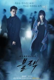 Poster for Black