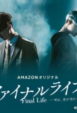 Poster for Final Life