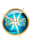 Poster for Csillag születik