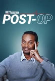Poster for Grey's Anatomy: Post-Op