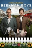 Poster for The Fabulous Beekman Boys