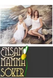 Poster for Ensam mamma söker