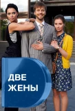 Poster for Две жены