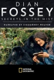 Poster for Dian Fossey: Secrets in the Mist