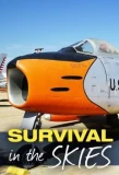 Poster for Survival in the Skies